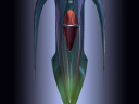 Dusk Yalmaha