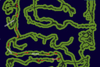 Map To Ness